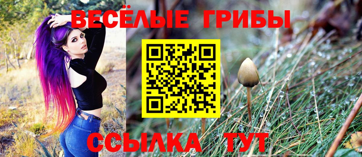 Псилоцибиновые грибы Magic Shrooms  Псилоцибиновые грибы Psilocybine cubensis  Вход с VPN  Нягань 