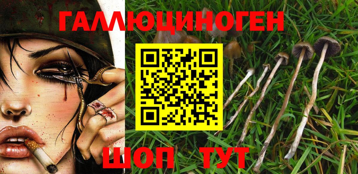Псилоцибиновые грибы GOLDEN TEACHER Нягань